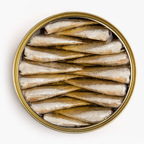 Premium Canned Seafood