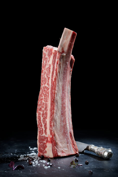 Uruguay Frozen Short Rib, Black Angus (1 Bone)