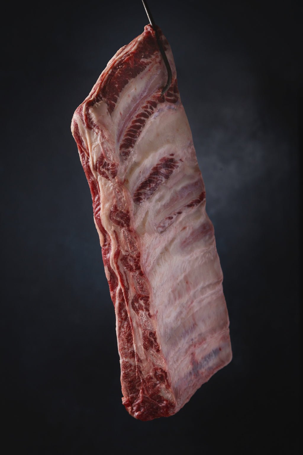 Argentina Premium Frozen Grass Fed Angus SHORT RIBS 7 Ribs/ 20 cm Ribs (Costillar) Entre Todos $318/KG - Argentina Premium