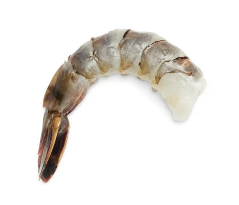Frozen Black Tiger Selva Shrimp- (11-13 pcs/lb) Peeled, Tail on, Raw-1KG