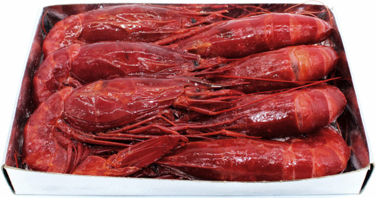 義大利 Salame Langhirano Tipo Felino-Vismara