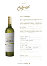 Load image into Gallery viewer, Colome Torrontes 2023 - Argentina Premium
